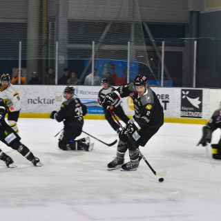 28/10/23 - D1-J4 - BREST-CHAMBÉRY (2-6) - © Julien Ogor