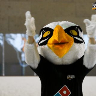 BREST - NEUILLY (J2) 2-4 21/09/2019 - © Brieuc Le Meur