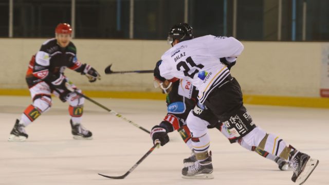 24/08/2019 > ALBATROS DE BREST - DOGS DE CHOLET (MATCH DE PRÉPARATION) 3-1
