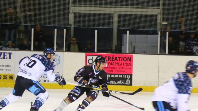 23/11/2019 > ALBATROS DE BREST - SPARTIATES DE MARSEILLE (11E JOURNÉE) 1-4