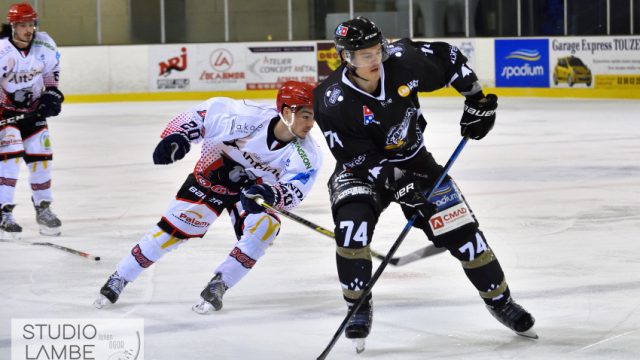 20/02/2021 - J4 - ALBATROS DE BREST-DOGS DE CHOLET (3-7)