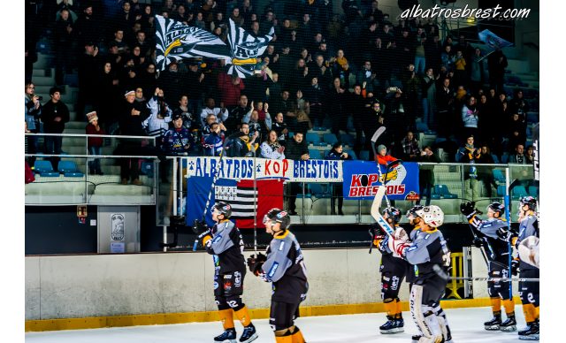 FIN DE SAISON POUR LES ALBATROS ...