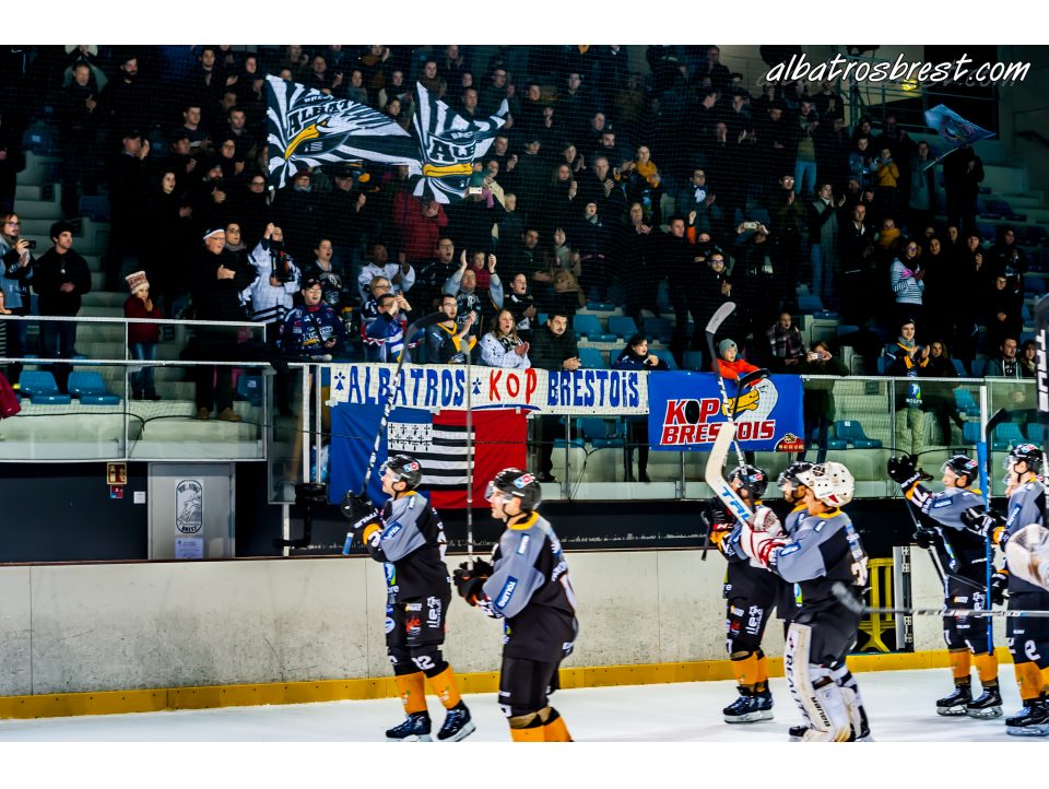 FIN DE SAISON POUR LES ALBATROS ...